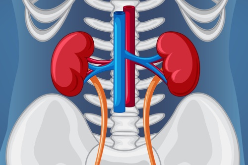 Medina Hyponatriemie En Mucoplasma Genitalium